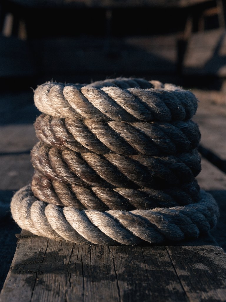 Bookie Yarn — Your life is the book